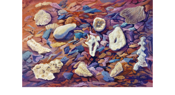Sarina Beach Collection
